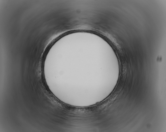 X0000097641364200803281114