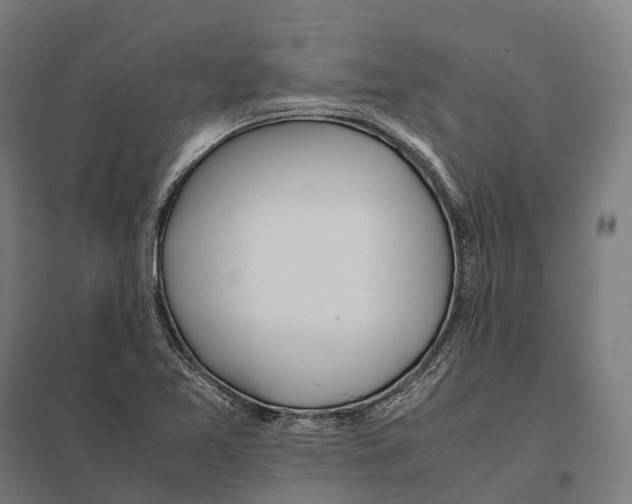 X0000097641365200803281114