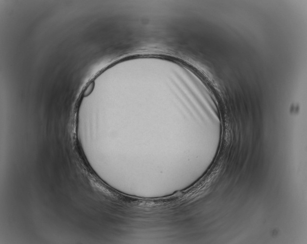 X0000097641366200803281114