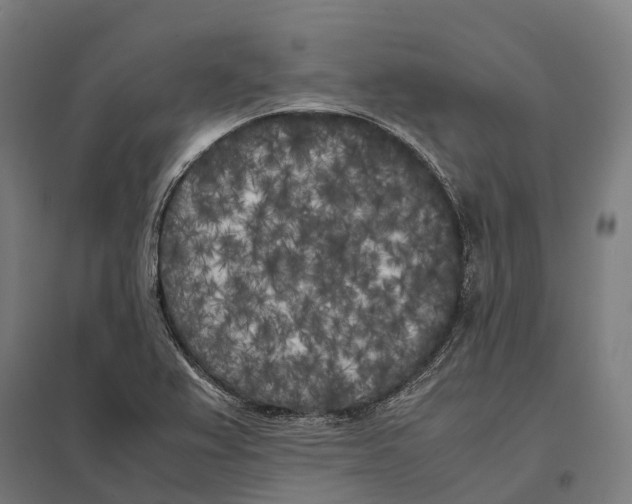 X0000097641367200803281114