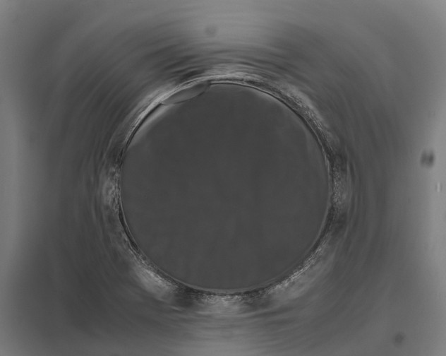 X0000097641369200803281114