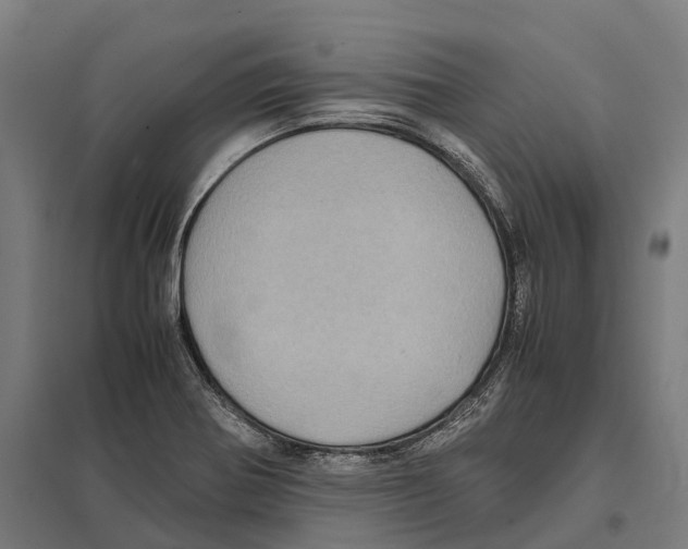 X0000097641370200803281114