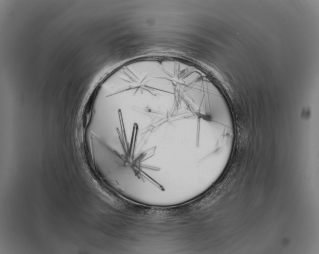 X0000097641371200803281114
