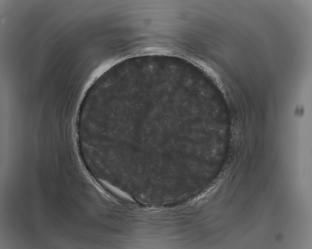 X0000097641373200803281113