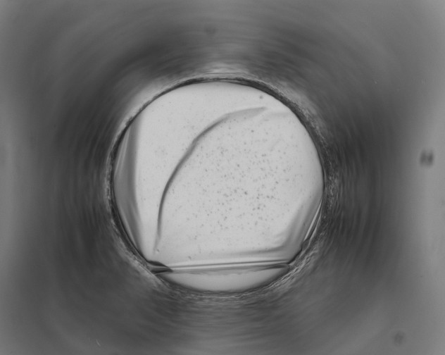 X0000097641374200803281113