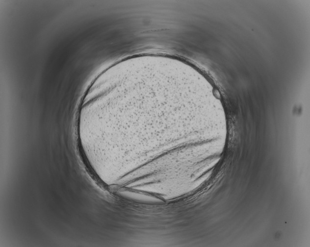 X0000097641375200803281113