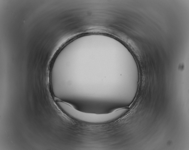 X0000097641376200803281113