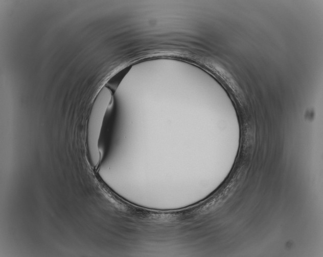 X0000097641377200803281113