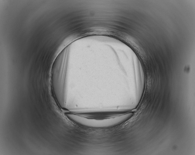 X0000097641378200803281113