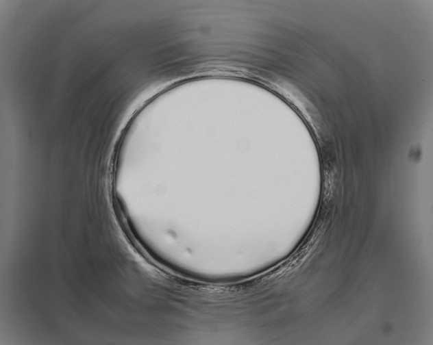 X0000097641379200803281113