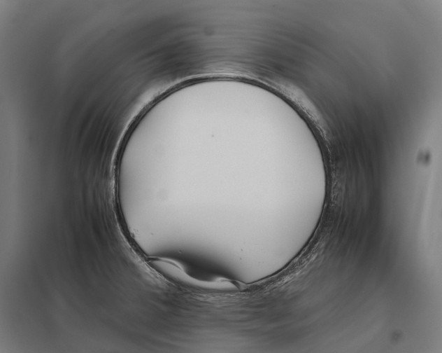 X0000097641380200803281113