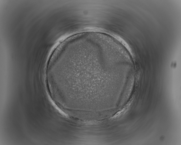 X0000097641381200803281113