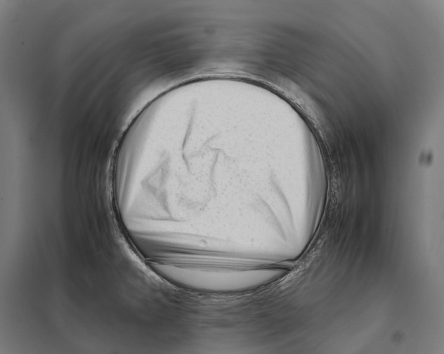 X0000097641382200803281113