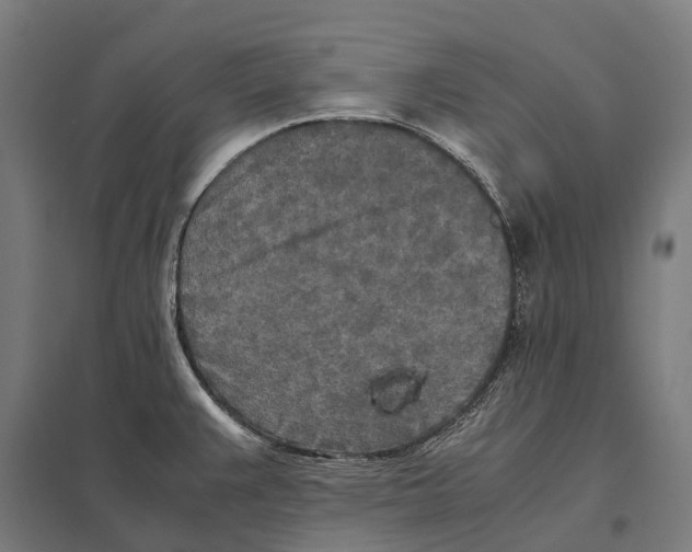 X0000097641383200803281113