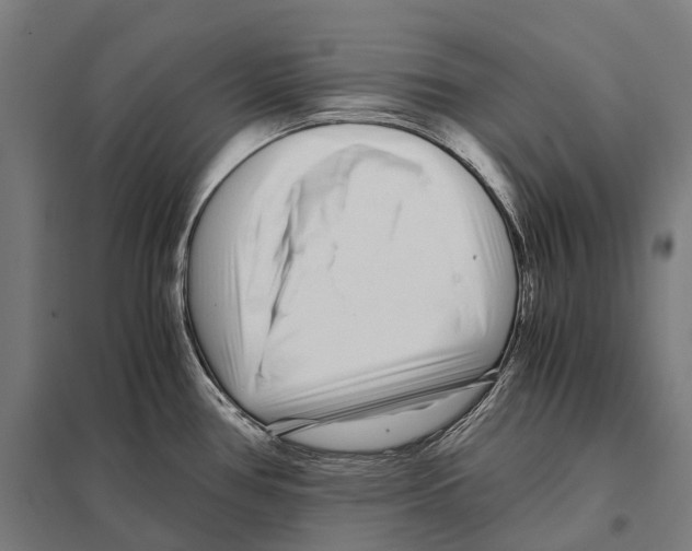 X0000097641386200803281113