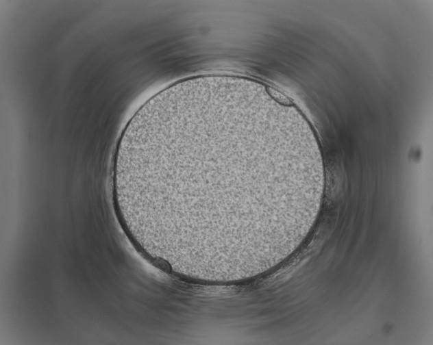 X0000097641387200803281113