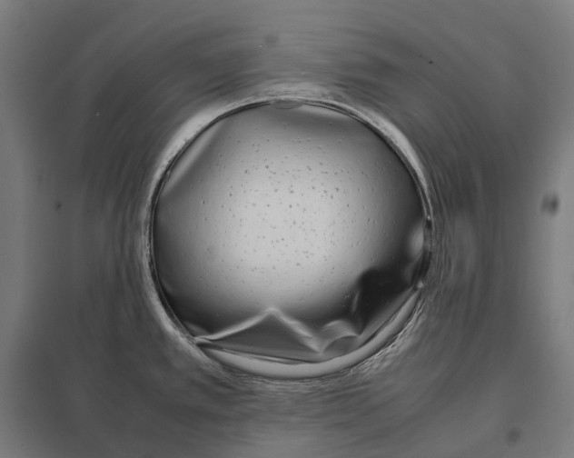 X0000097641389200803281113