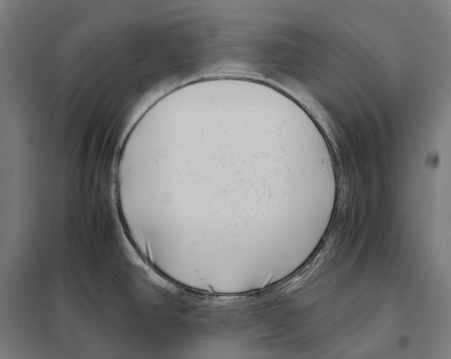 X0000097641390200803281113