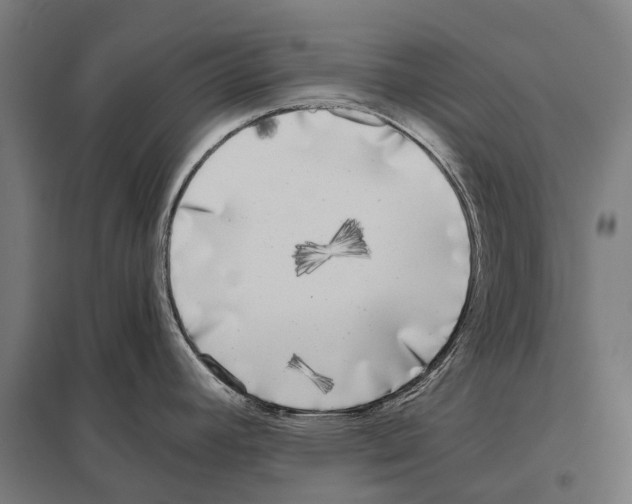 X0000097641392200803281113