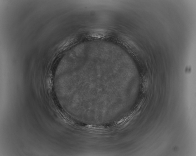 X0000097641394200803281113