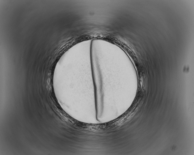 X0000097641396200803281113