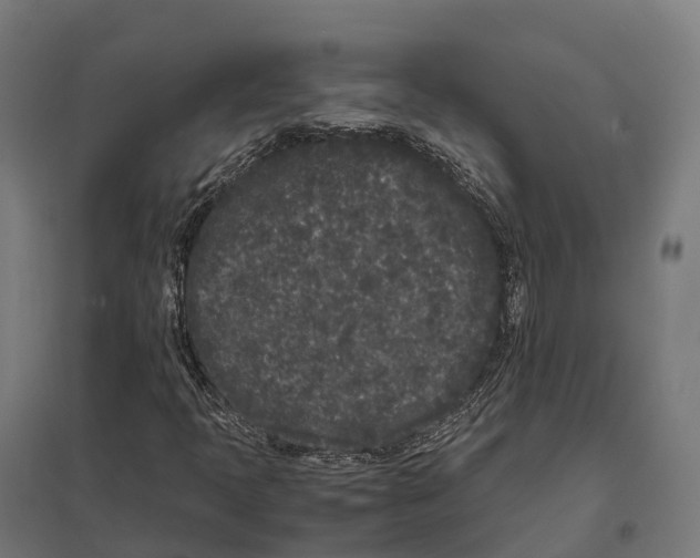 X0000097641397200803281113