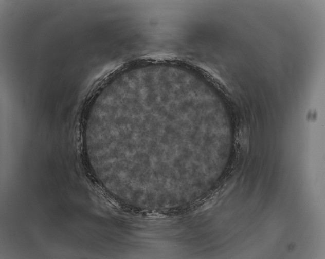 X0000097641398200803281113