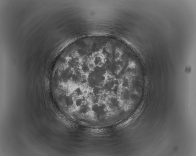 X0000097641401200803281113