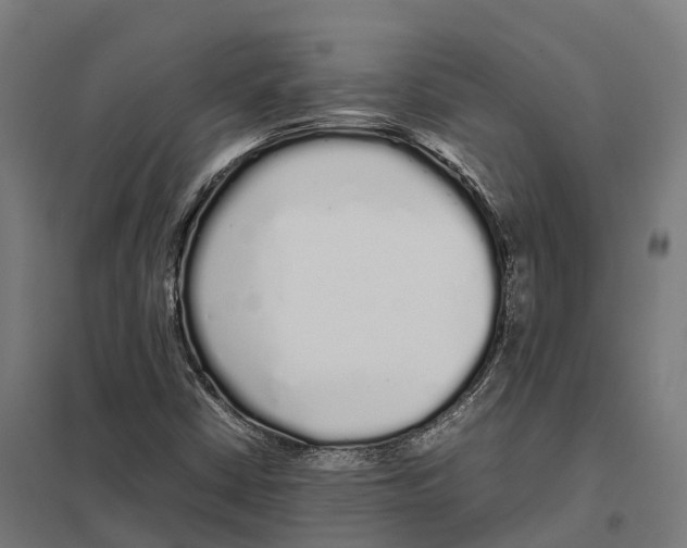 X0000097641402200803281113