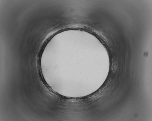 X0000097641404200803281113