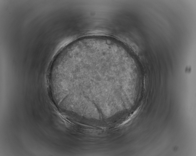 X0000097641405200803281113