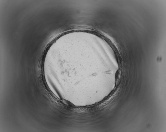 X0000097641407200803281113