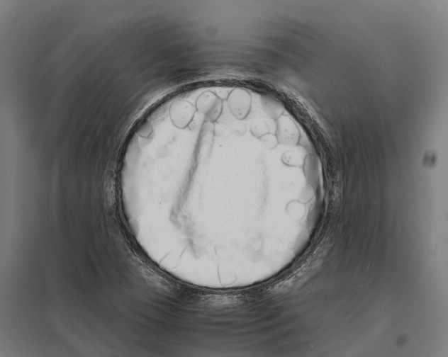 X0000097641409200803281113