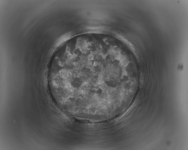 X0000097641411200803281113