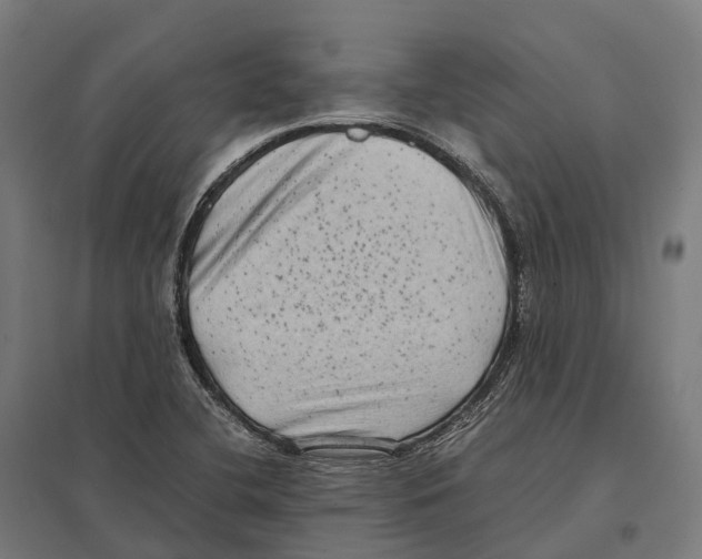 X0000097641412200803281113