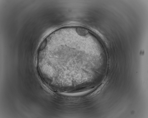 X0000097641413200803281113