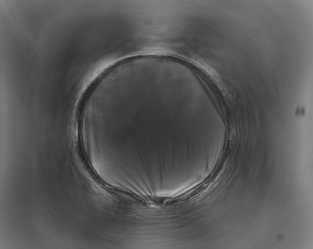 X0000097641414200803281113