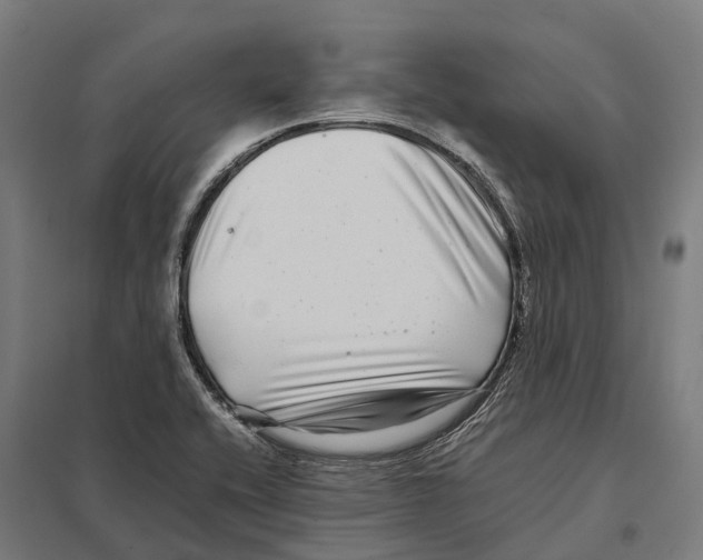 X0000097641416200803281113