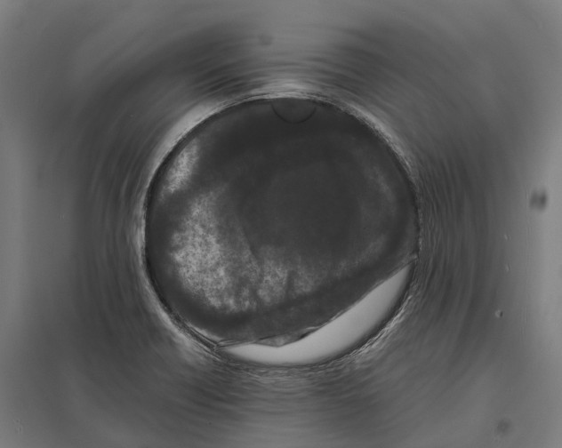 X0000097641418200803281113