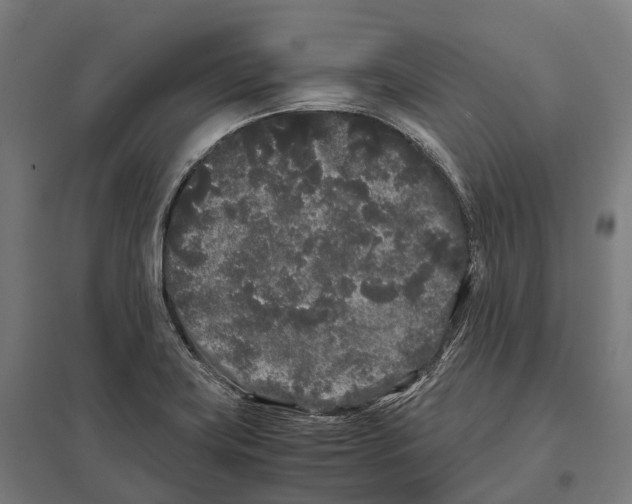 X0000097641419200803281113