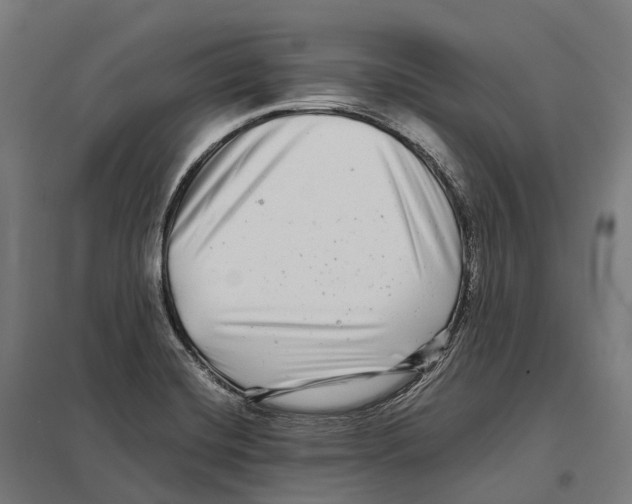 X0000097641420200803281113