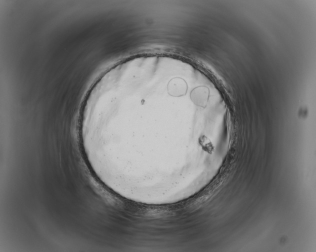 X0000097641421200803281113