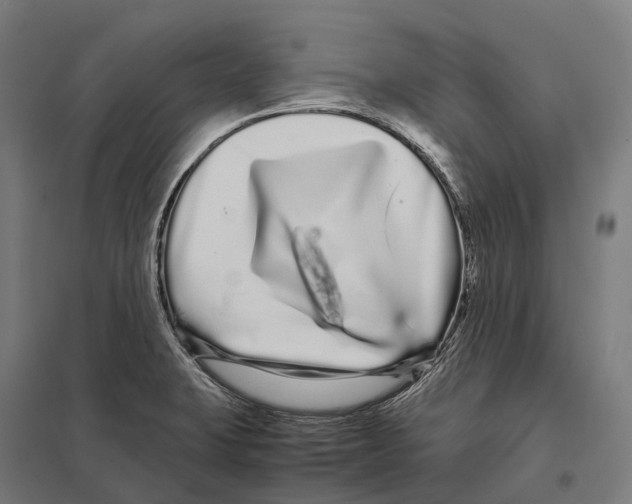 X0000097641423200803281113