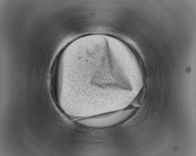 X0000097641424200803281113