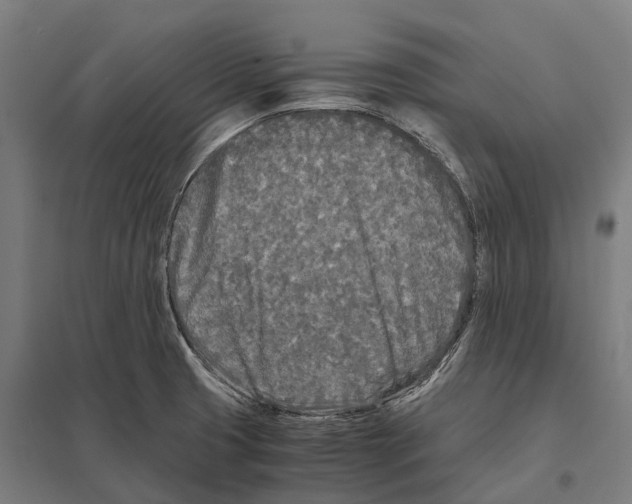 X0000097641425200803281113