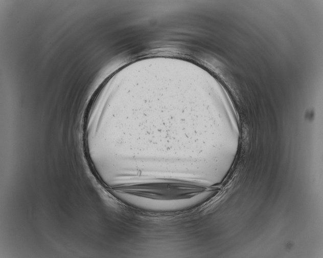 X0000097641426200803281113