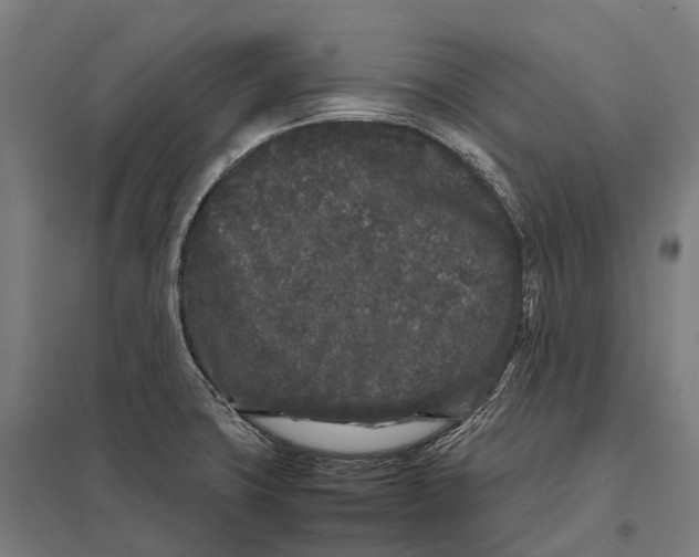 X0000097641427200803281113