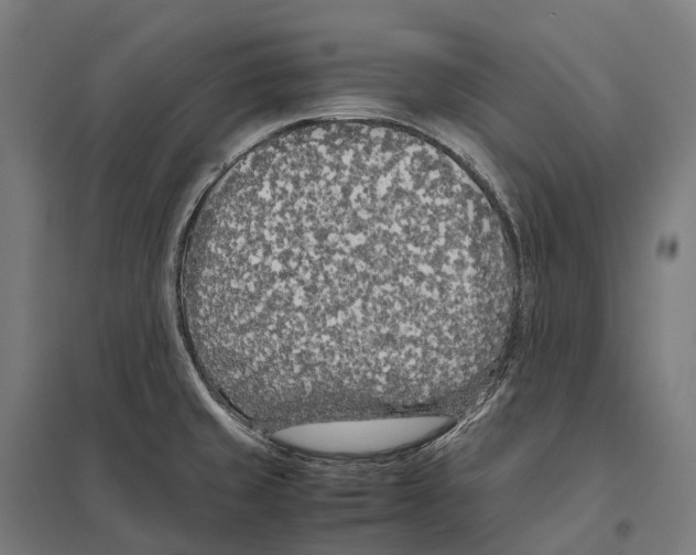 X0000097641429200803281113