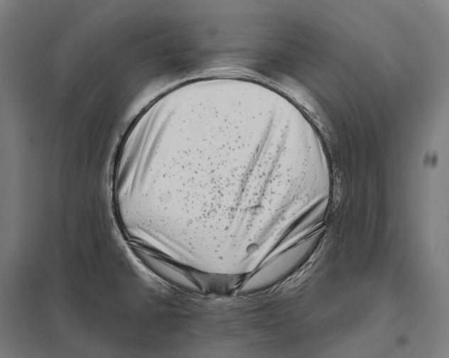 X0000097641430200803281113