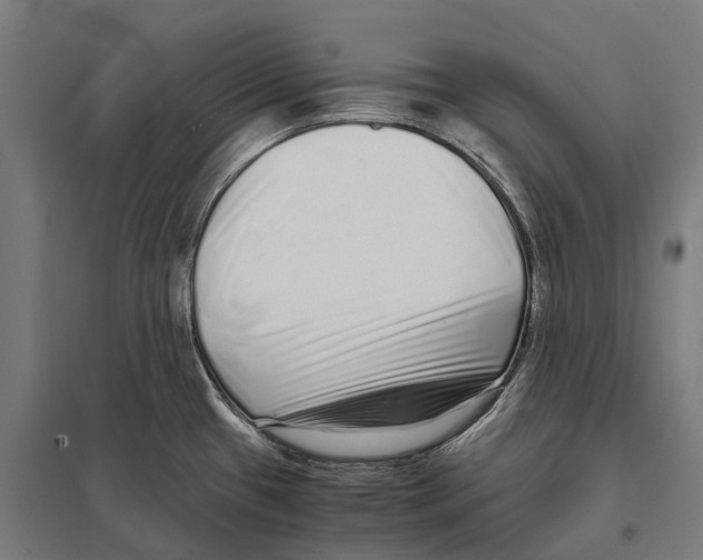 X0000097641433200803281113